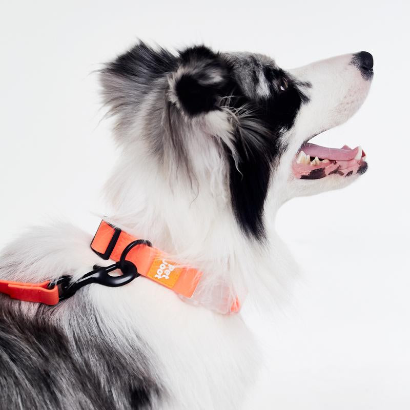 Pet Joot Christmas Allweather Waterproof Dog Collar - Seven Colors, Detachable, Durable PVC with Honeycomb Design, Quick Release Buckle, Eco-Friendly Plastic Clasp Small Puppy