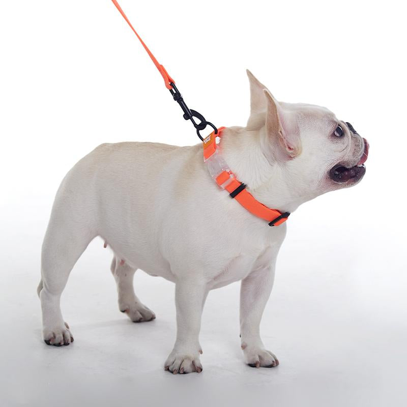 Pet Joot Christmas Allweather Waterproof Dog Collar - Seven Colors, Detachable, Durable PVC with Honeycomb Design, Quick Release Buckle, Eco-Friendly Plastic Clasp Small Puppy